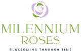 milennium roses